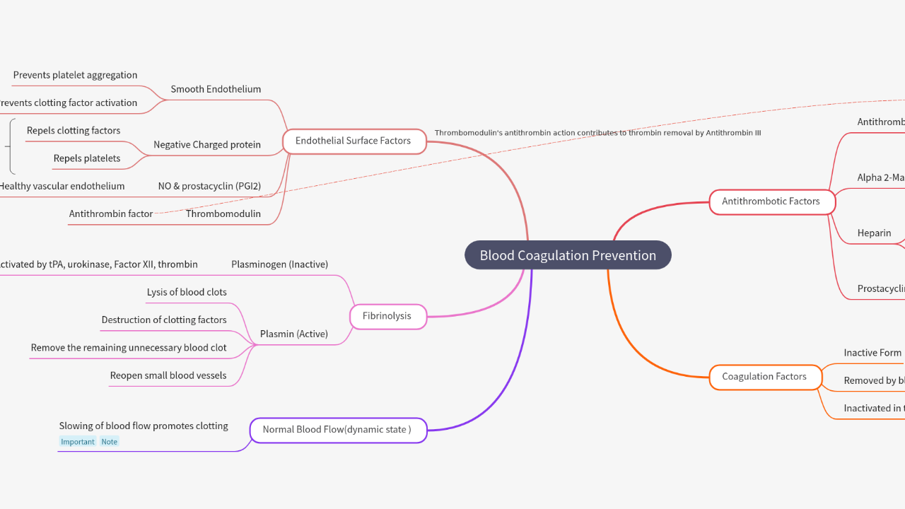 Mind Map:Blood Coagulation Prevention ...