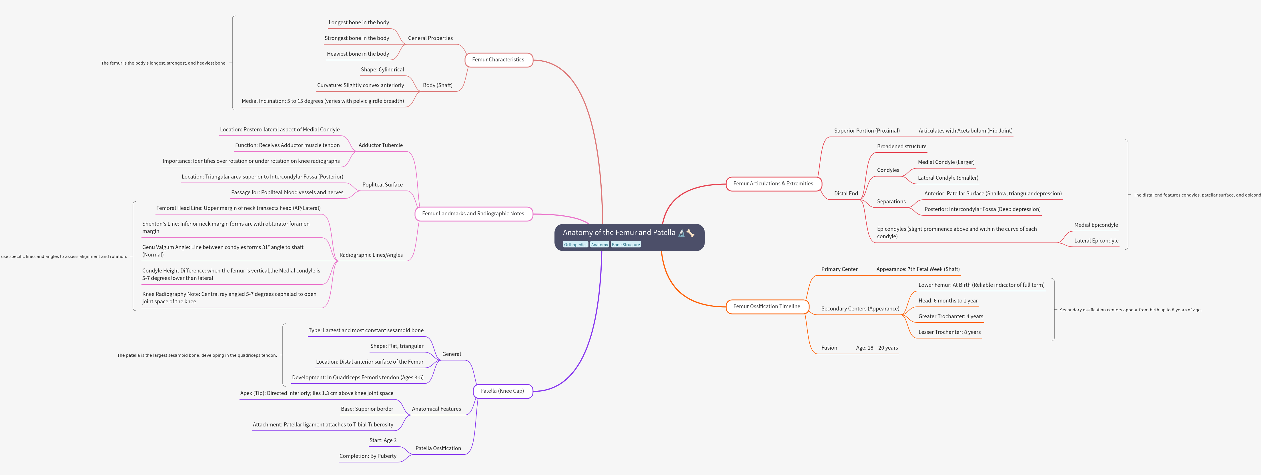 Anatomy of the Femur and Patella