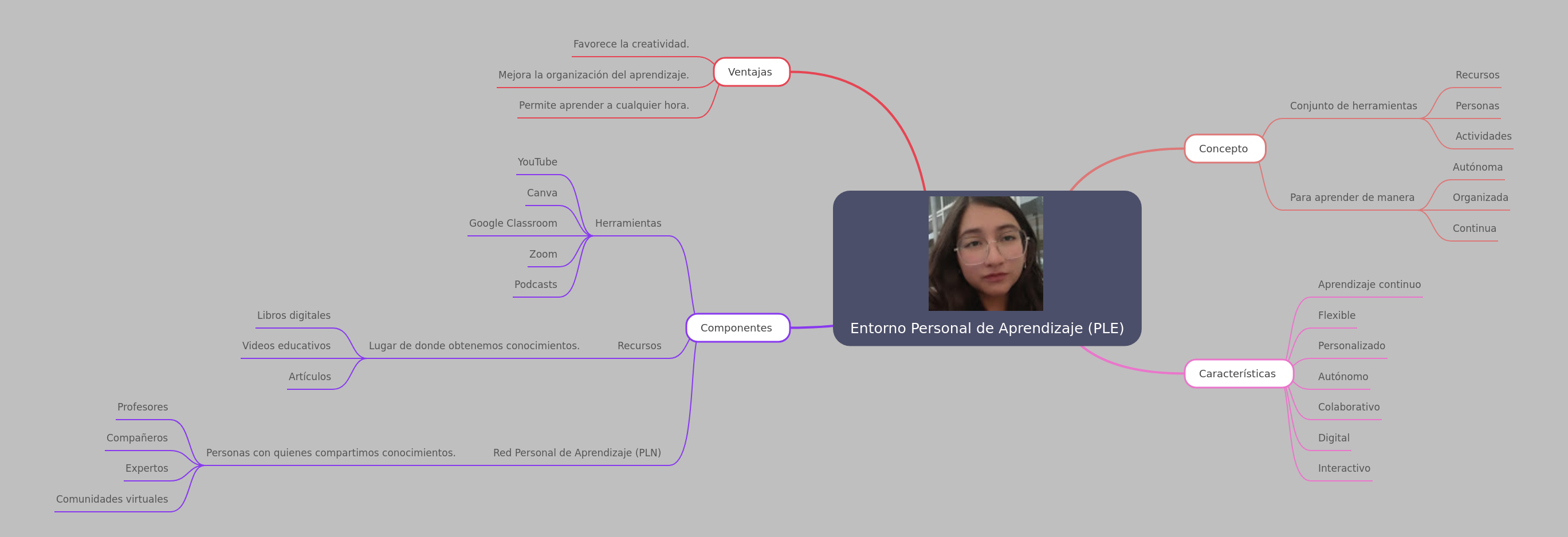Personal Learning Environment (PLE) Explained