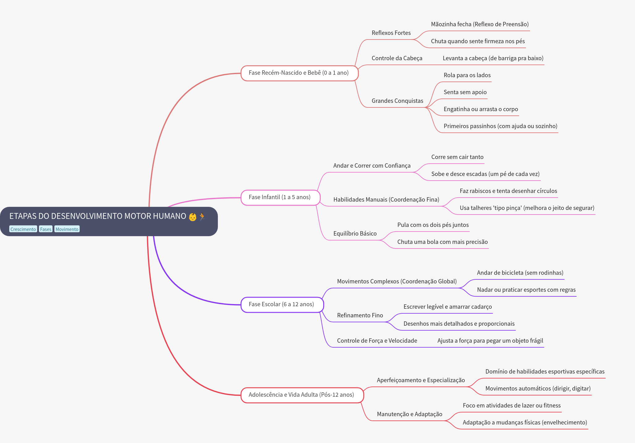 Stages of Human Motor Development: A Lifespan Guide