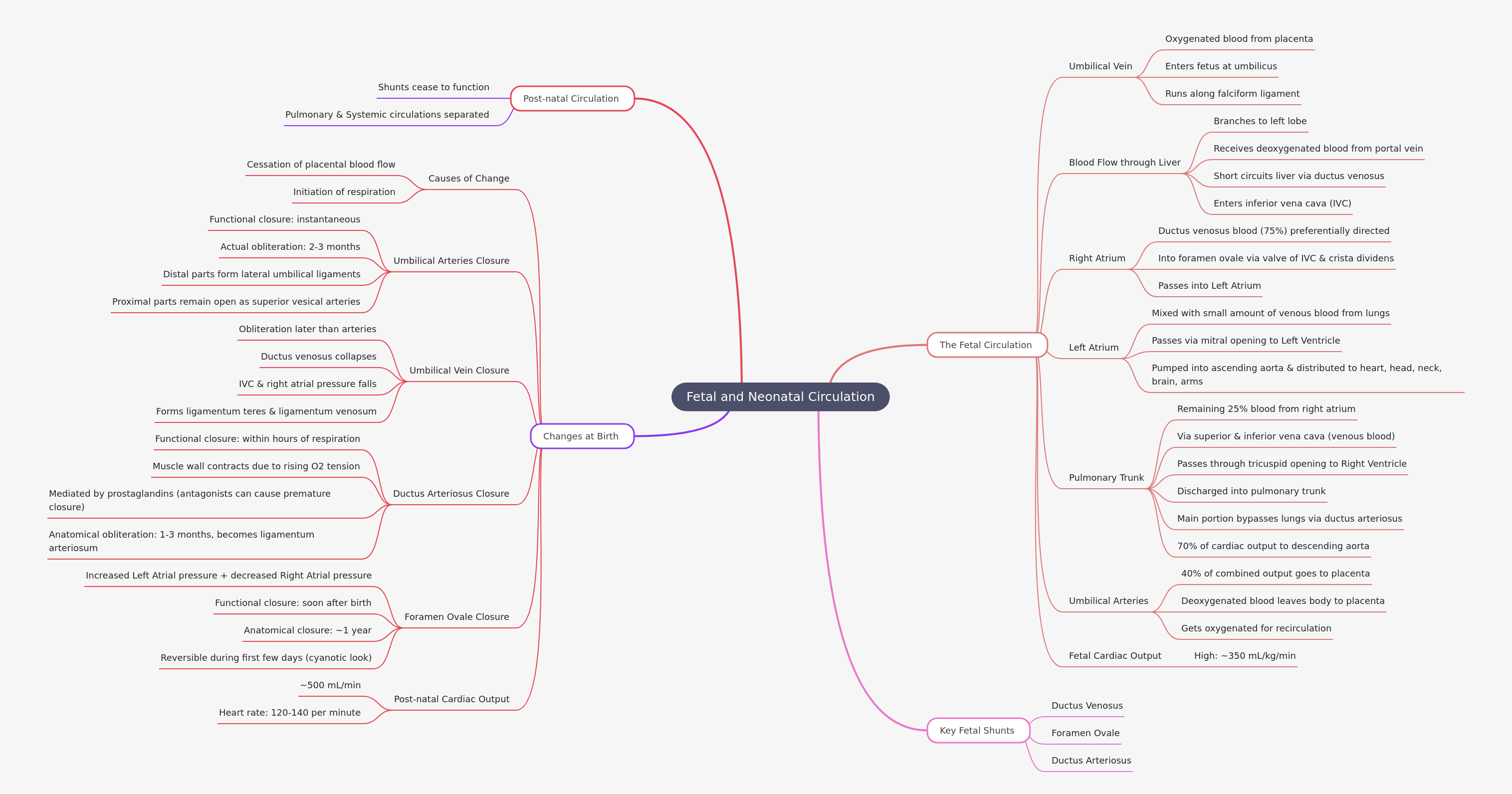Fetal and Neonatal Circulation Explained