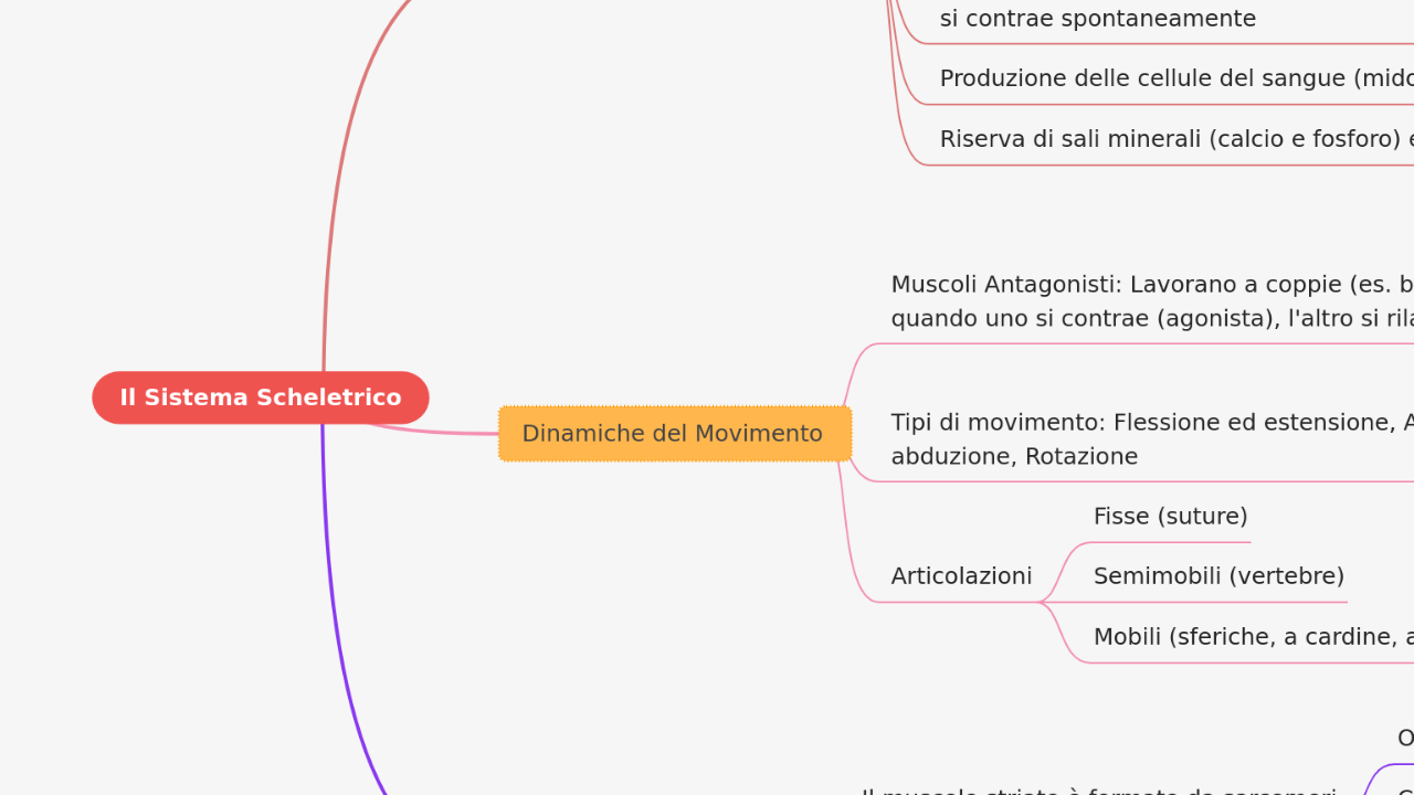 Mind Map:Il Sistema Scheletrico ...