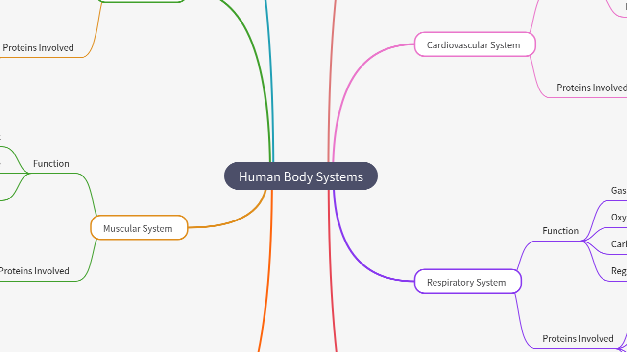 Mind Map:Human Body Systems ...
