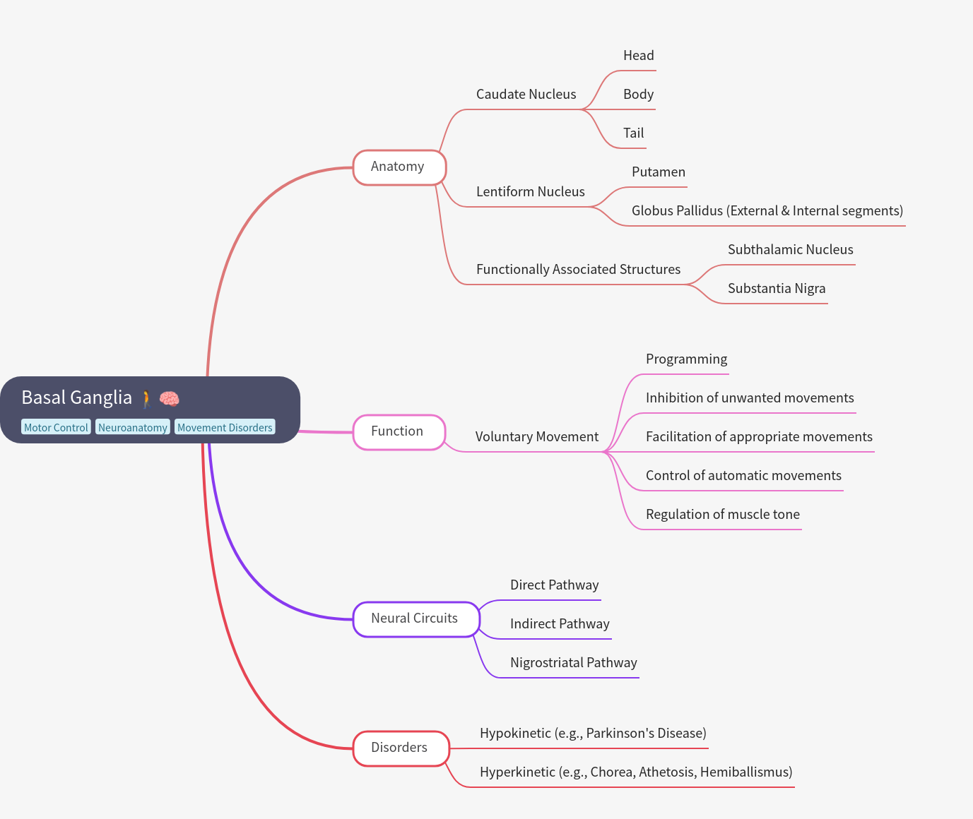 Comprehensive Guide to Basal Ganglia