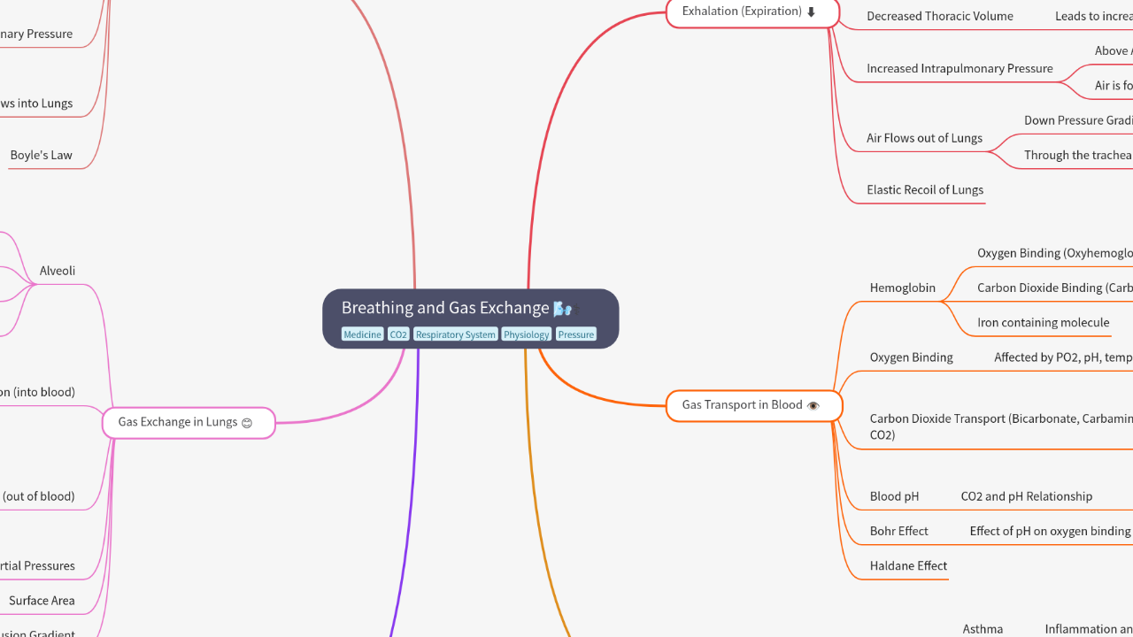 Mind Map:Breathing and Gas Exchange ...