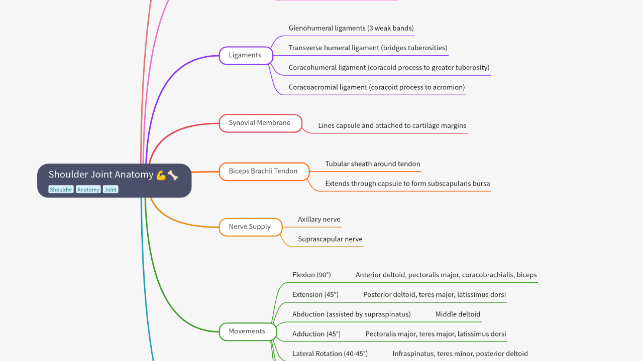 Mind Map:Shoulder Joint Anatomy ...