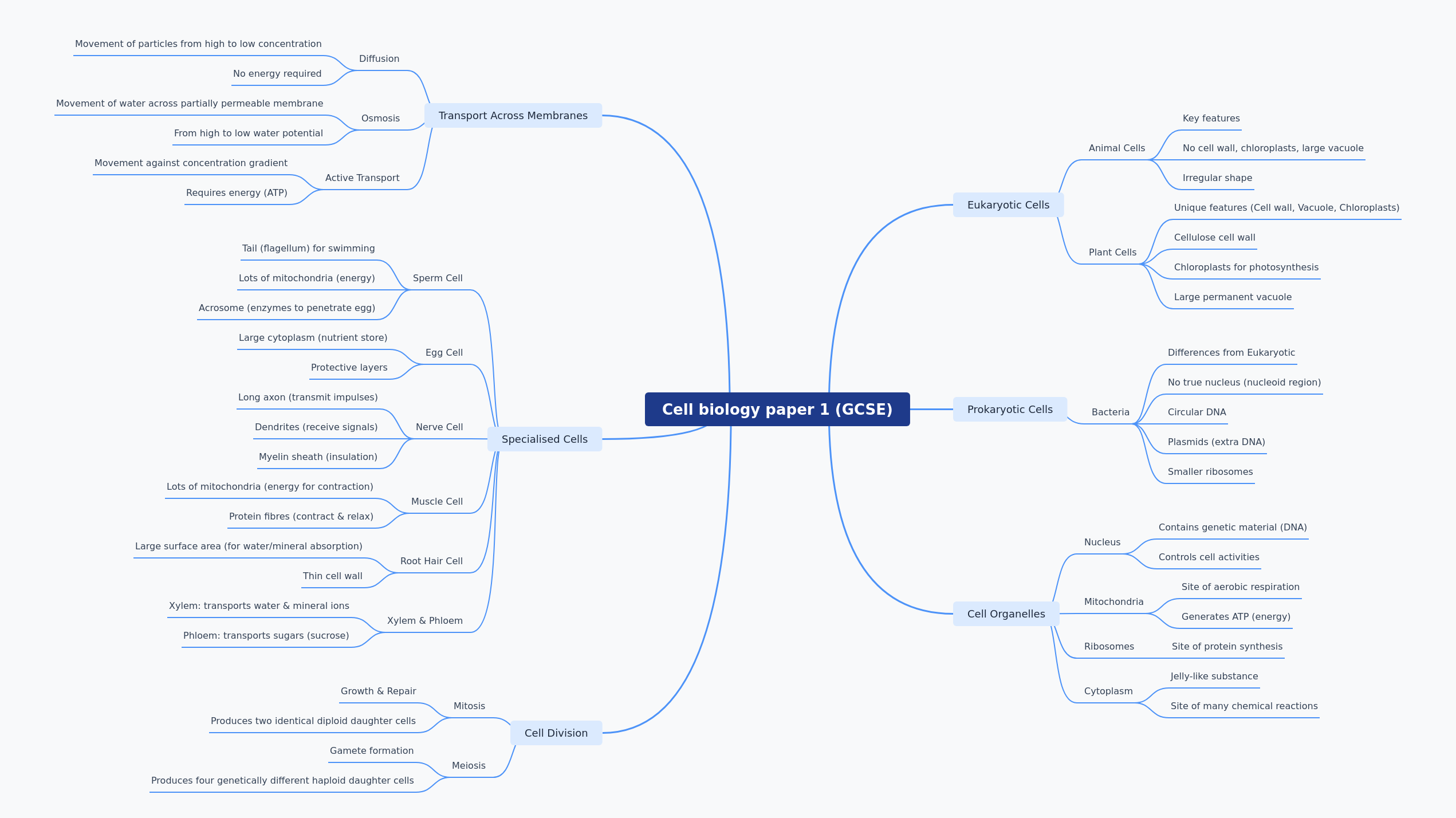 GCSE Cell Biology: Essential Concepts Explained
