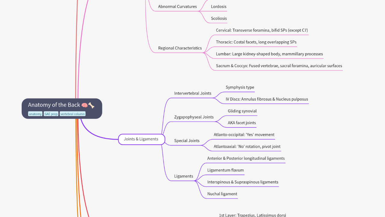 Mind Map:Anatomy of the Back ...