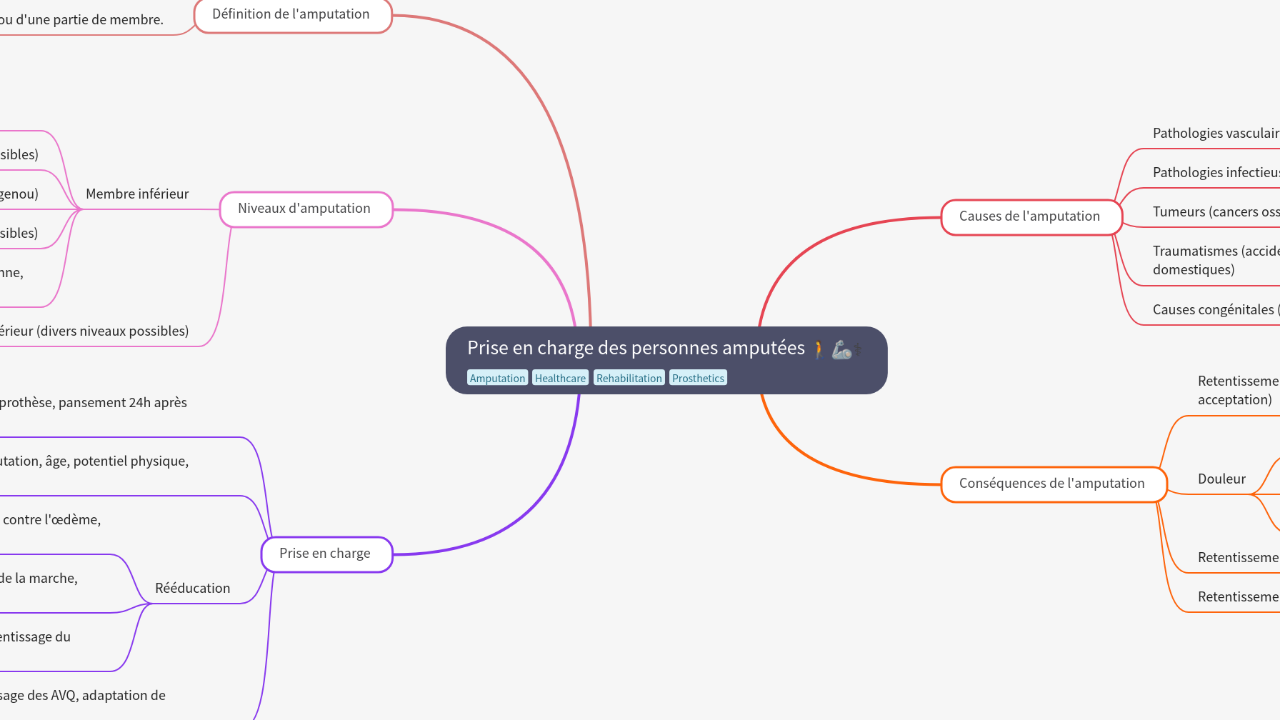 Mind Map:Prise en charge des personnes amputées ...