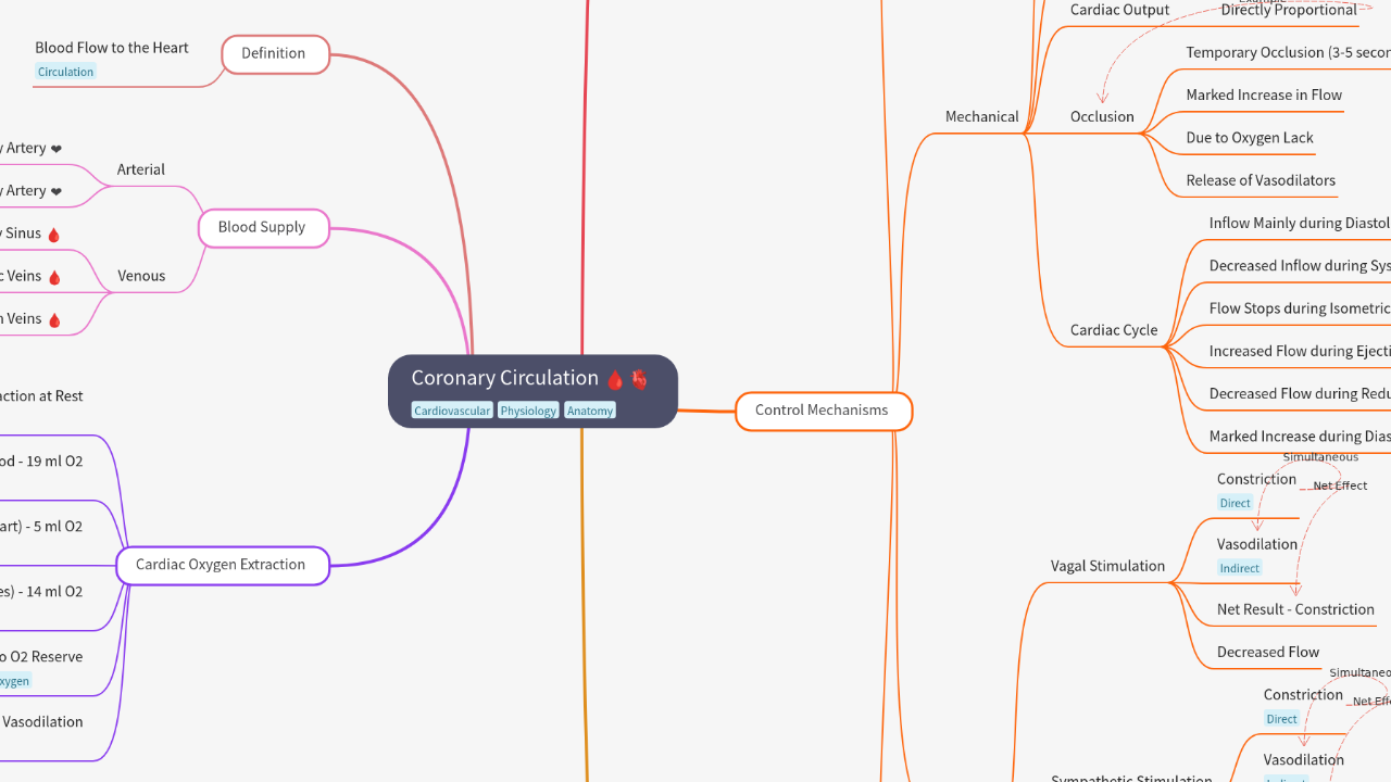 Mind Map:Coronary Circulation ...