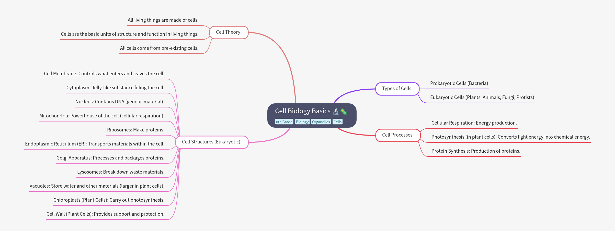 Cell Biology Basics: Fundamental Concepts