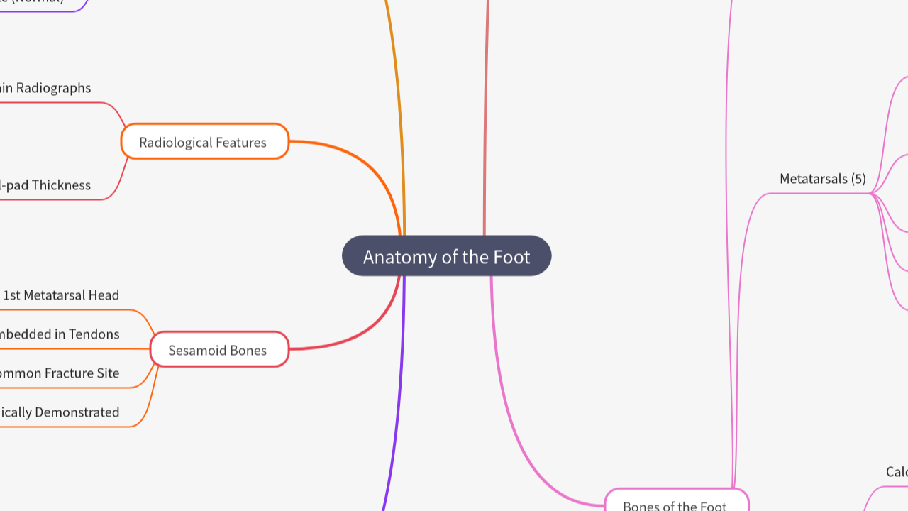 Mind Map:Anatomy of the Foot ...