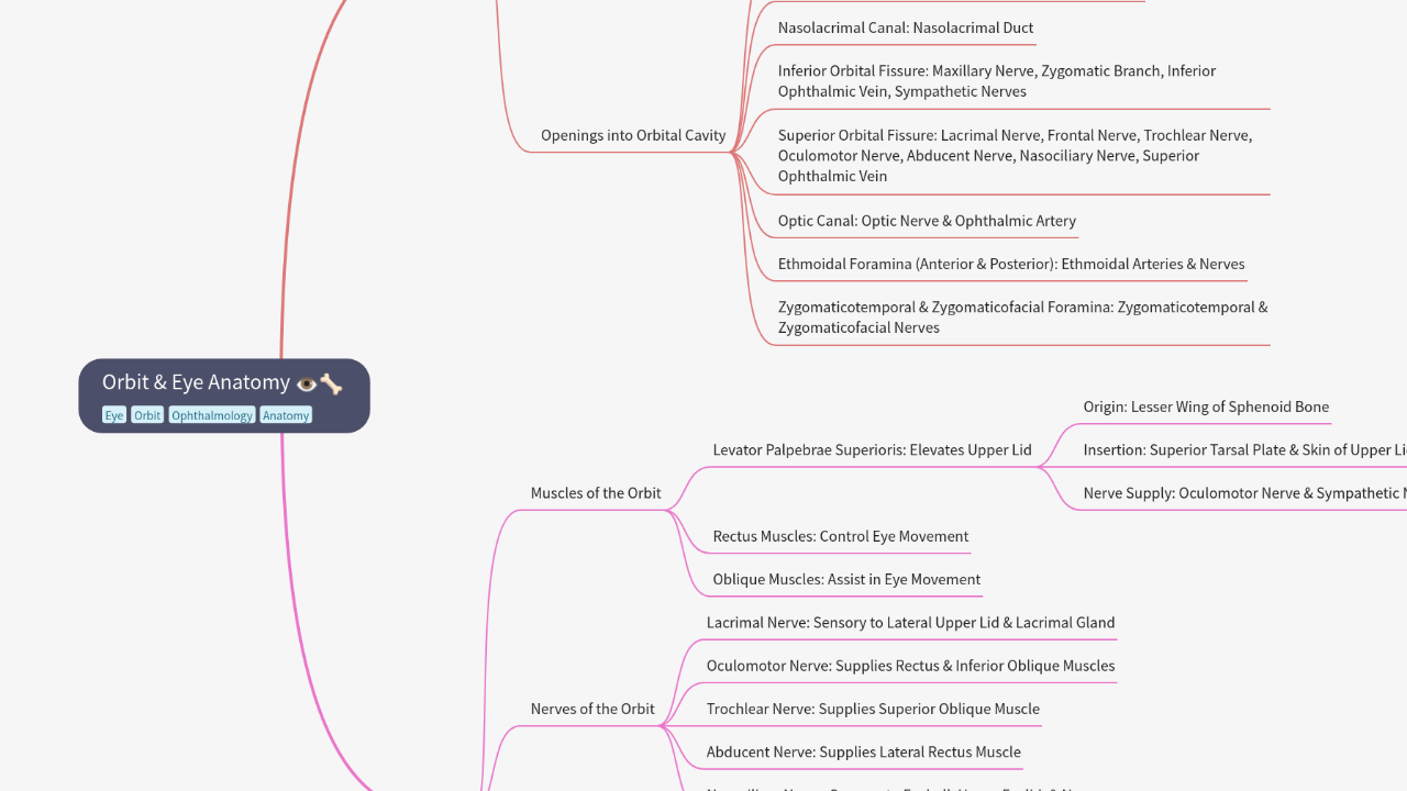 Mind Map:Orbit & Eye Anatomy ...