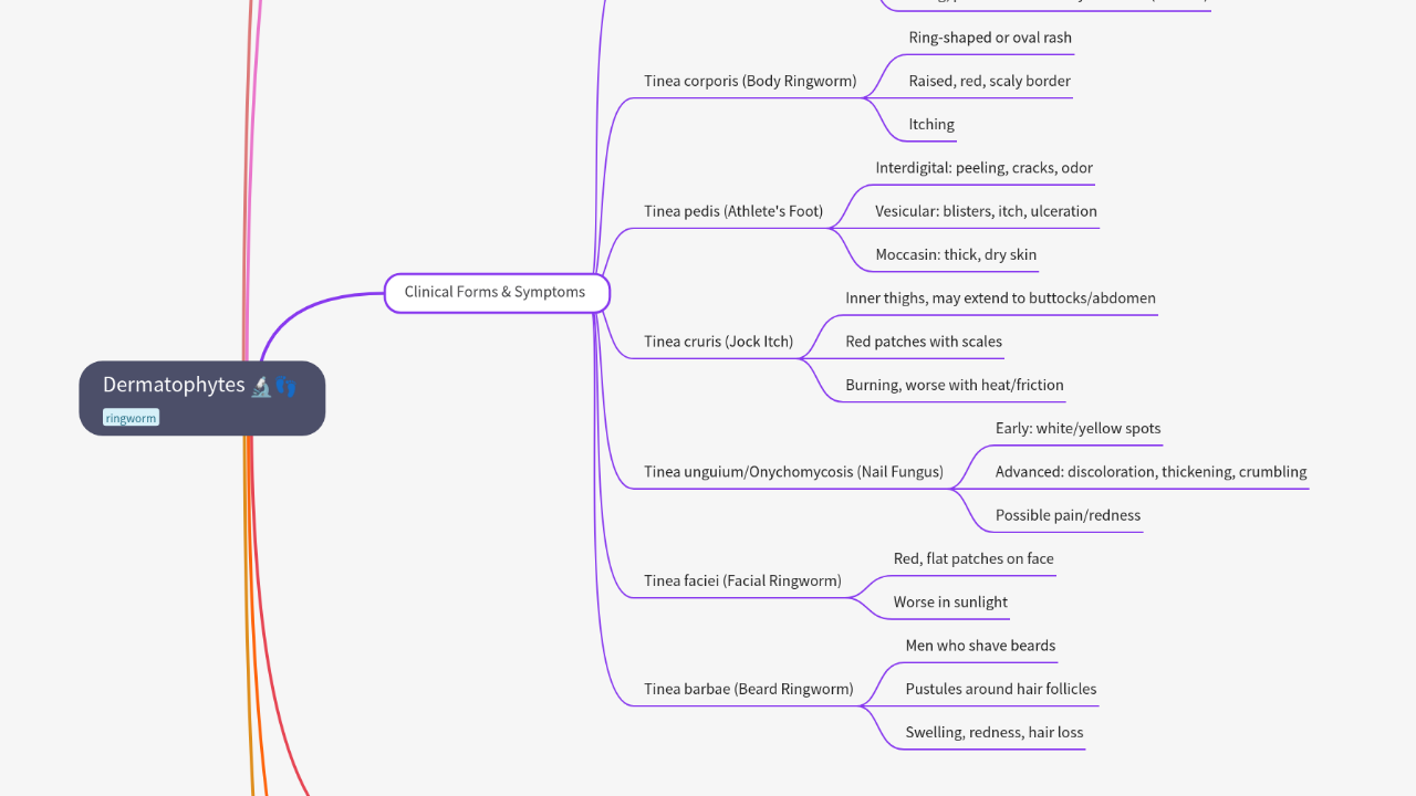 Mind Map:Dermatophytes ...
