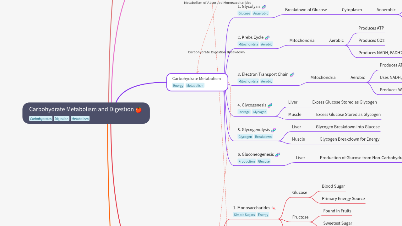 Mind Map:Carbohydrate Metabolism and Digestion ...