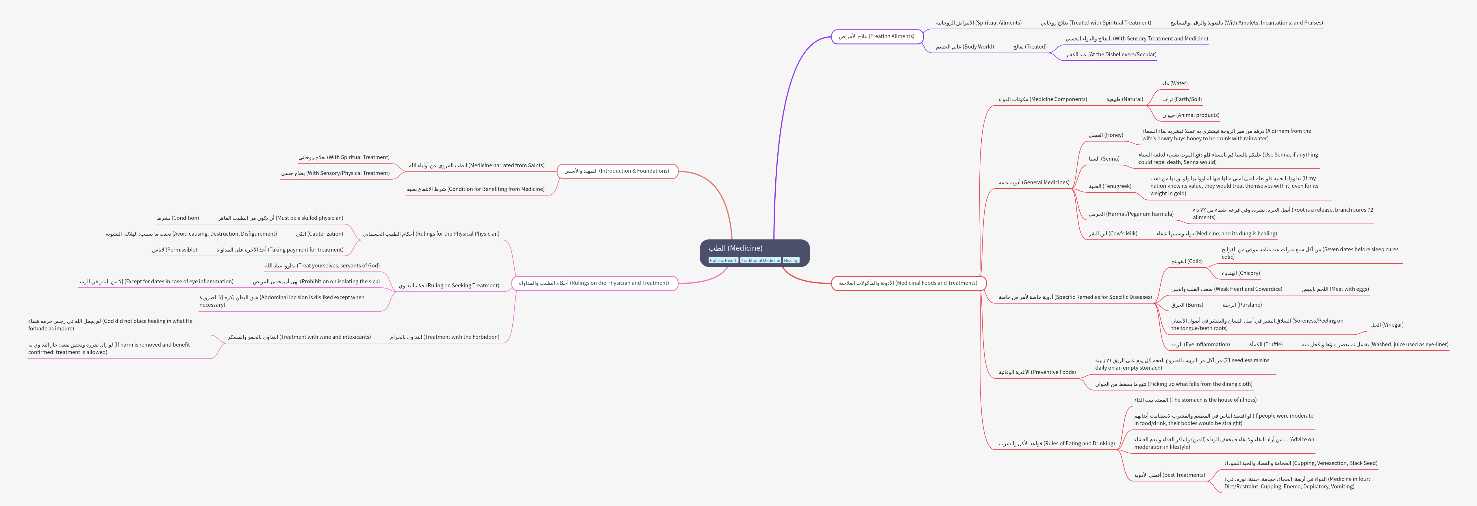Holistic Medicine: Foundations, Rulings, and Natural Remedies