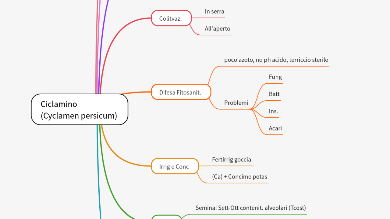 Mind Map:Ciclamino (Cyclamen persicum) ...