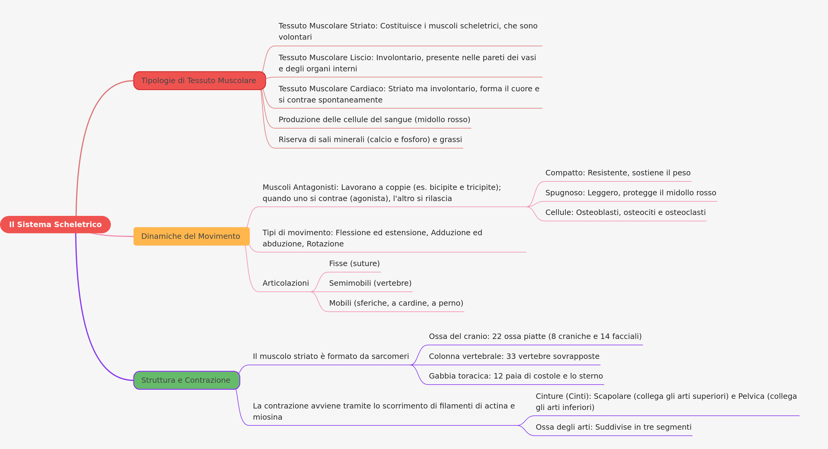 Musculoskeletal System Overview