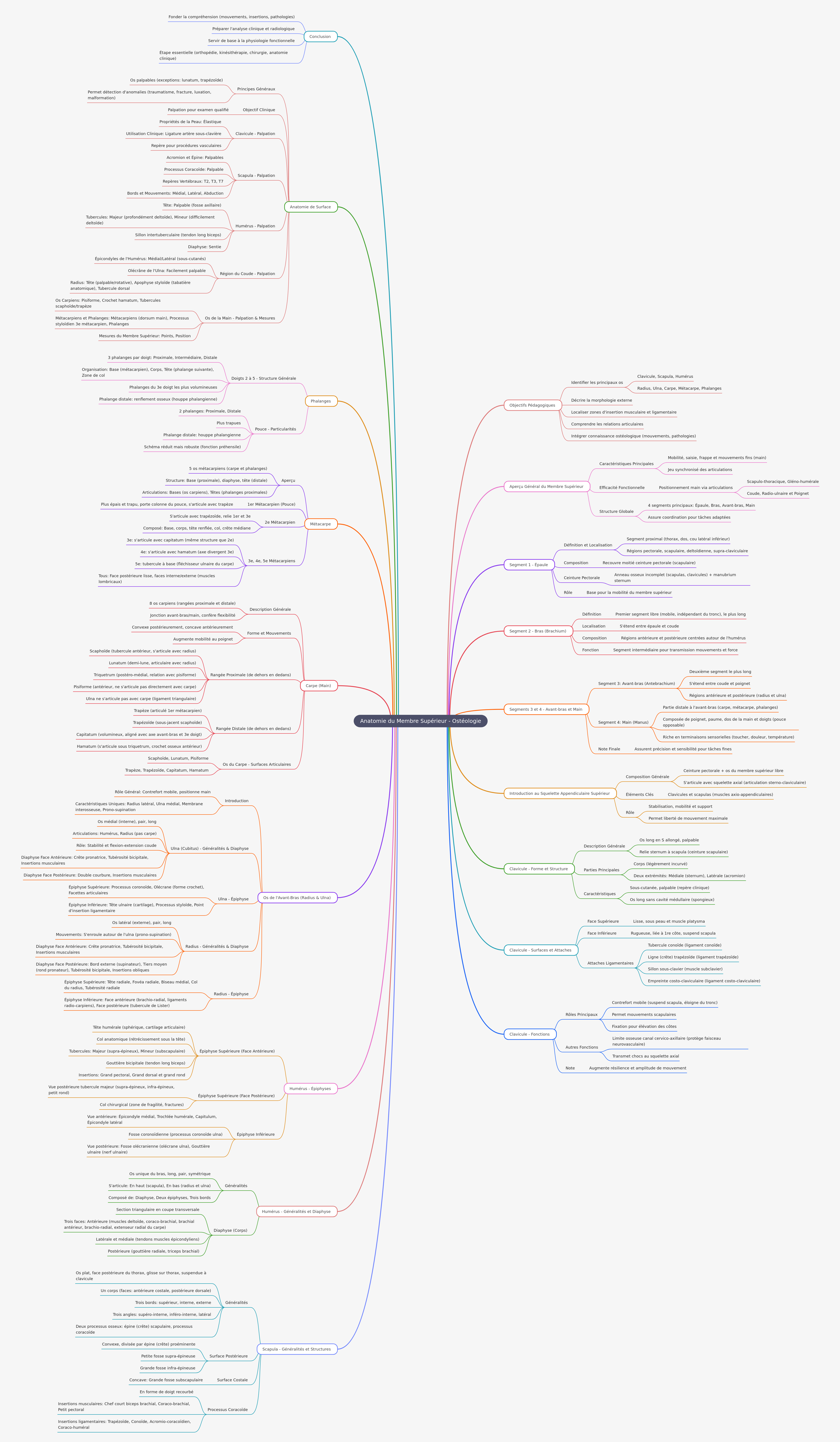 Osteology of the Upper Limb: Anatomy and Function