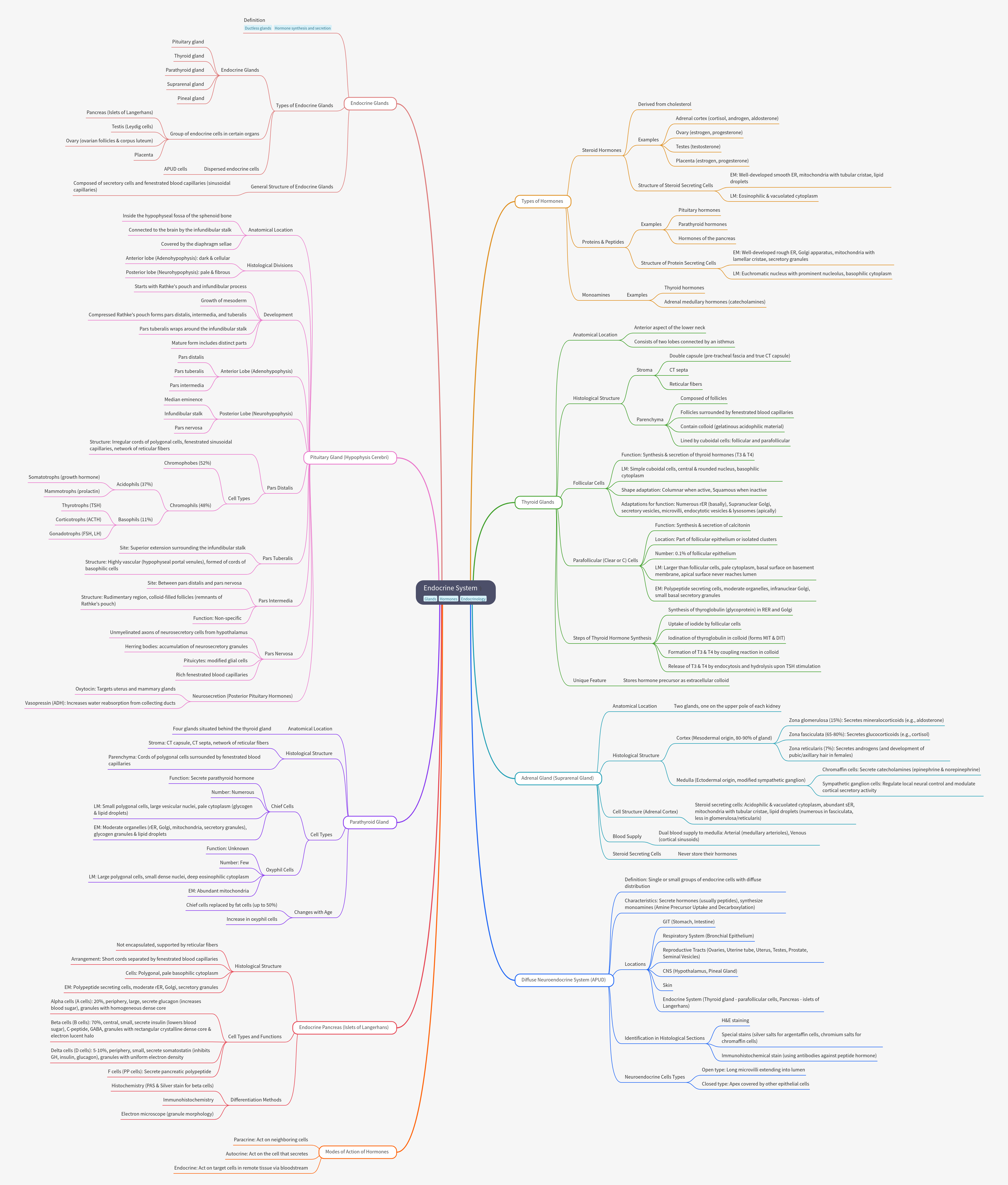 Comprehensive Guide to the Endocrine System