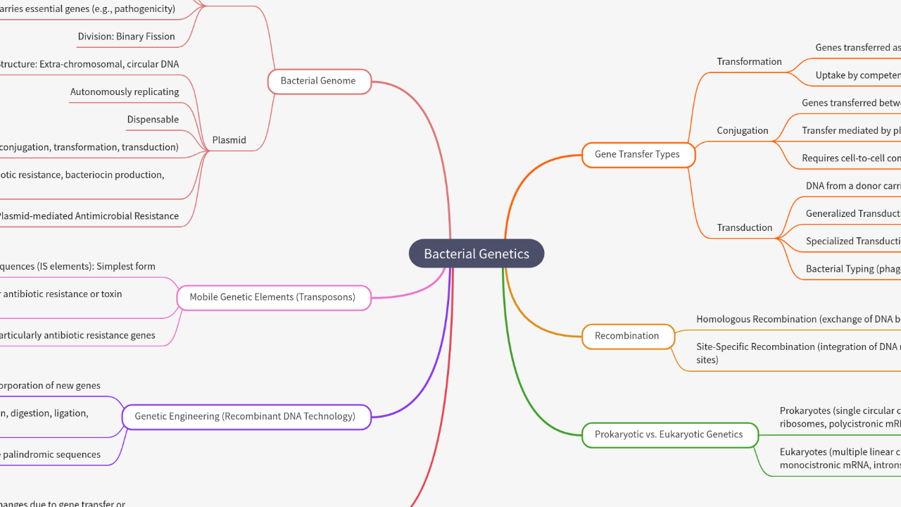 Mind Map:Bacterial Genetics ...