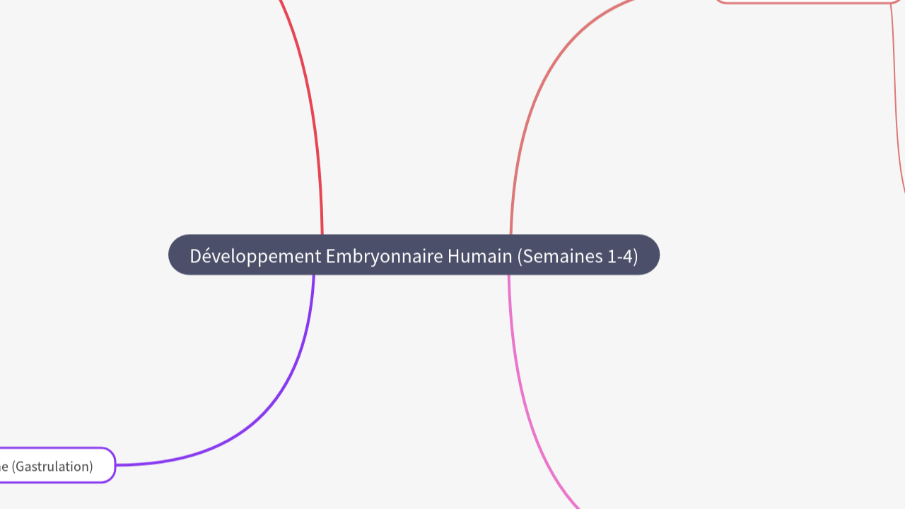 Mind Map:Développement Embryonnaire Humain (Semaines 1-4) ...