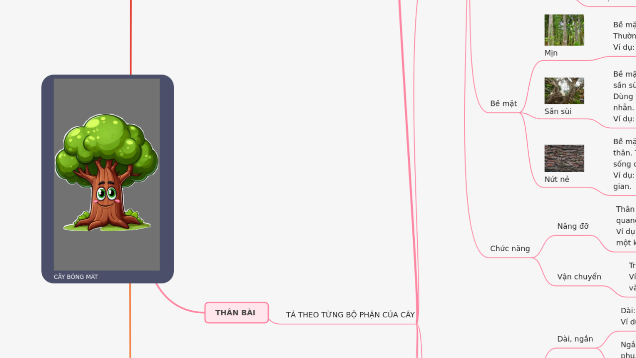 Mind Map:CÂY BÓNG MÁT ...