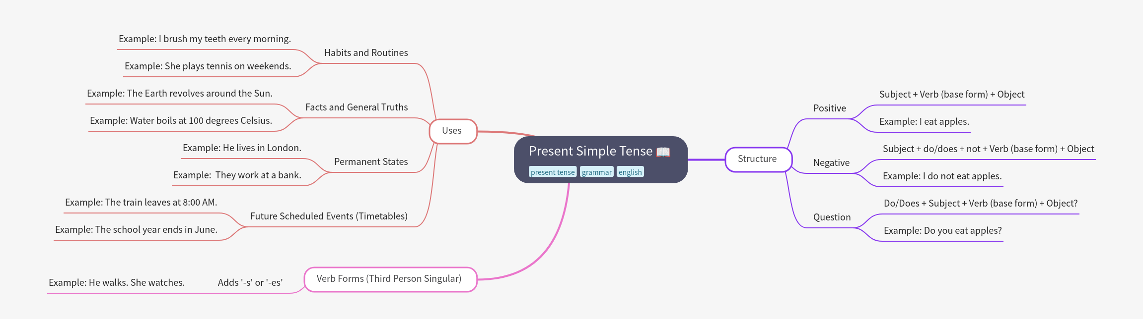 Present Simple Tense: Uses, Structure, & Verb Forms