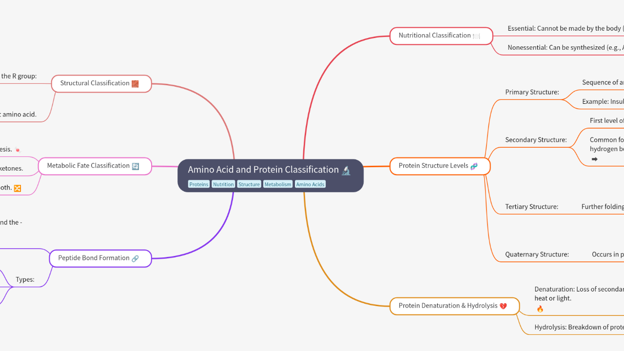Mind Map:Amino Acid and Protein Classification ...