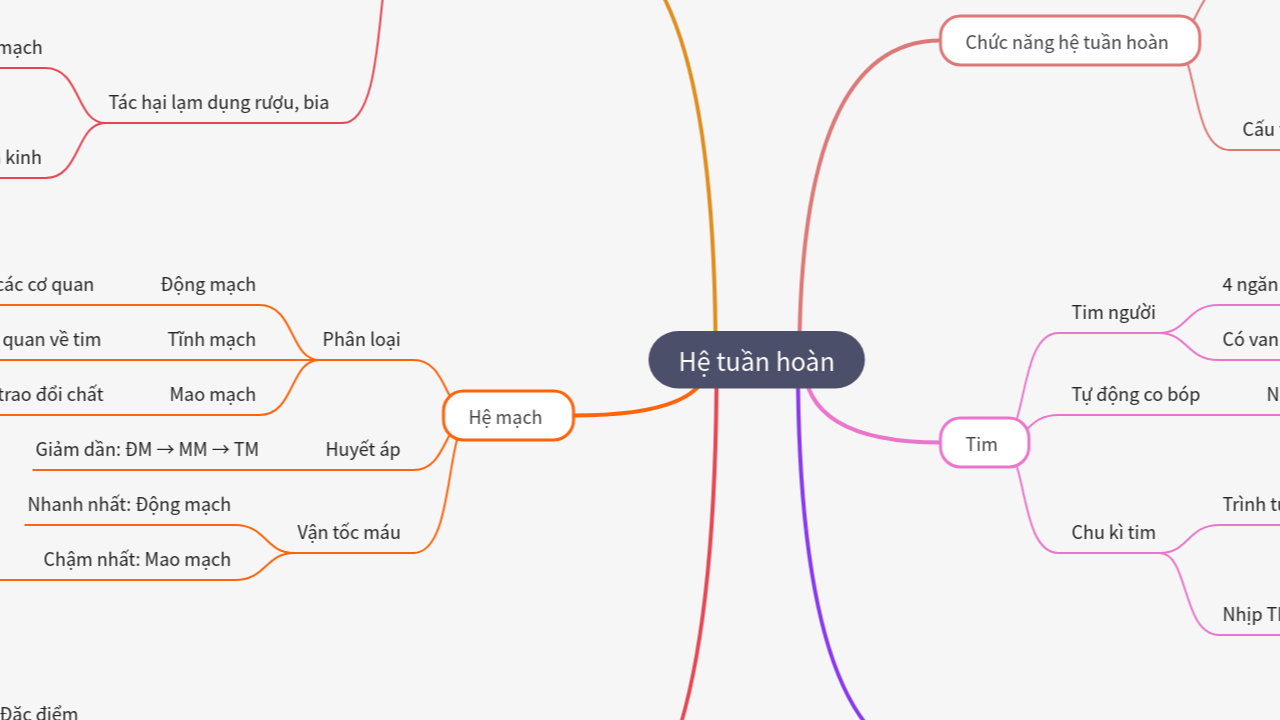 Mind Map:Hệ tuần hoàn ...