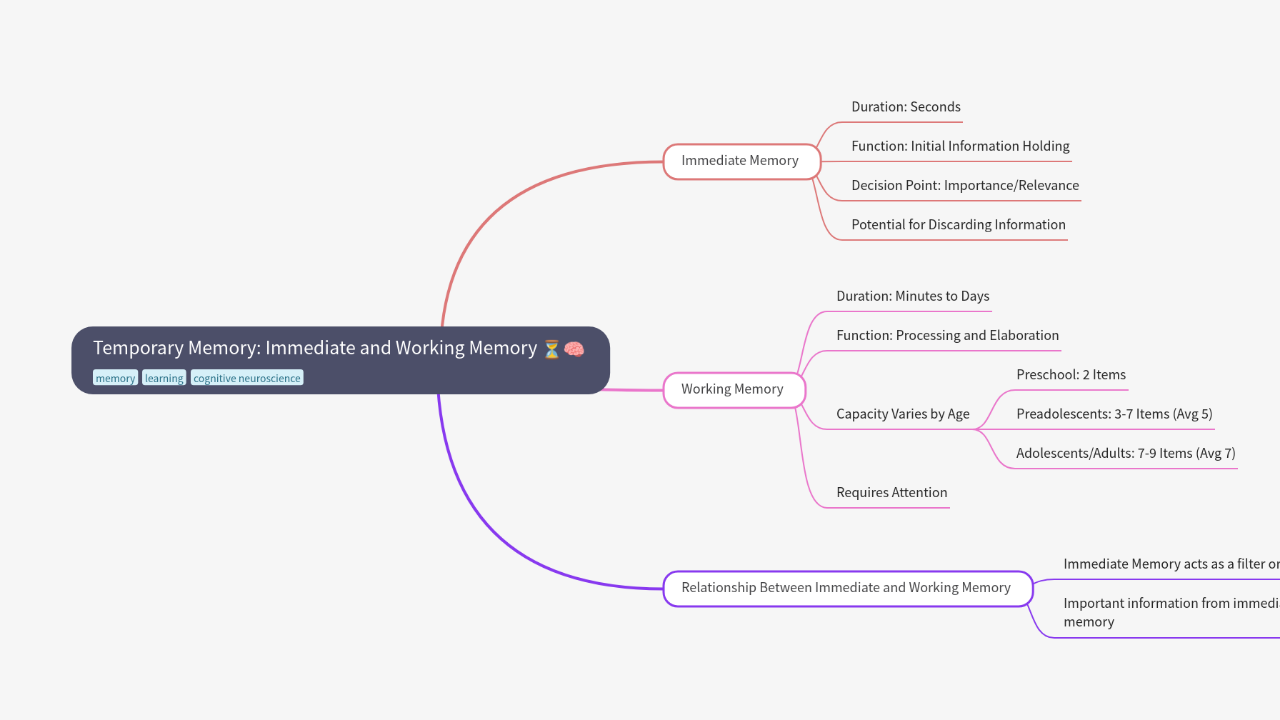 Mind Map:Temporary Memory: Immediate and Working Memory ...