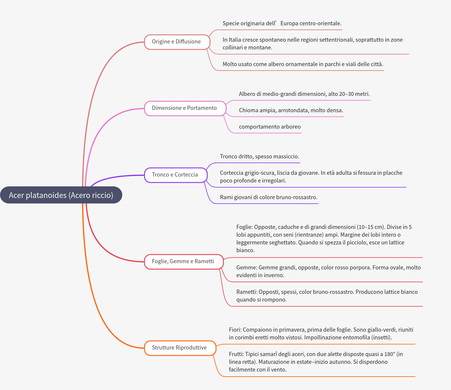 Norway Maple (Acer platanoides) Comprehensive Guide