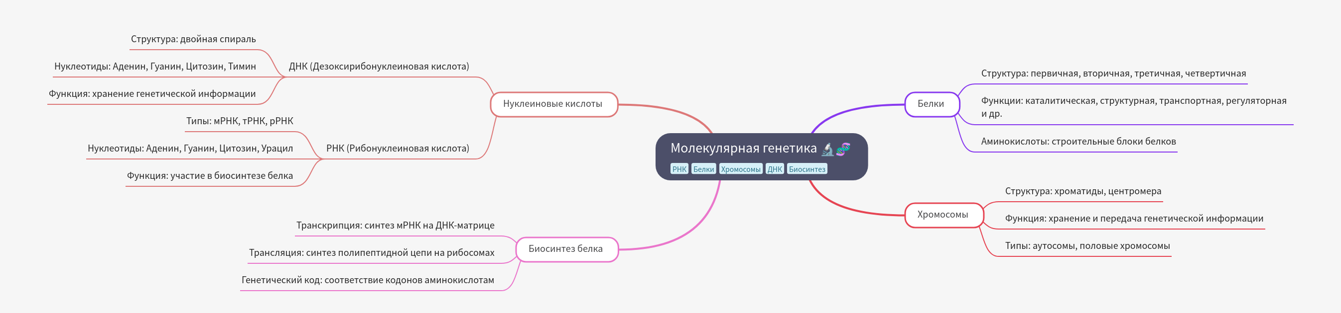 Molecular Genetics: DNA, RNA, Proteins, and Chromosomes