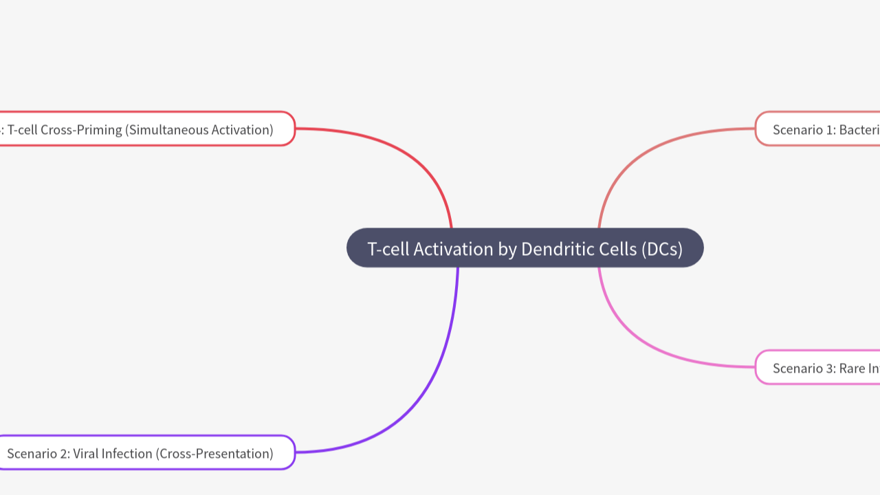 Mind Map:T-cell Activation by Dendritic Cells (DCs) ...