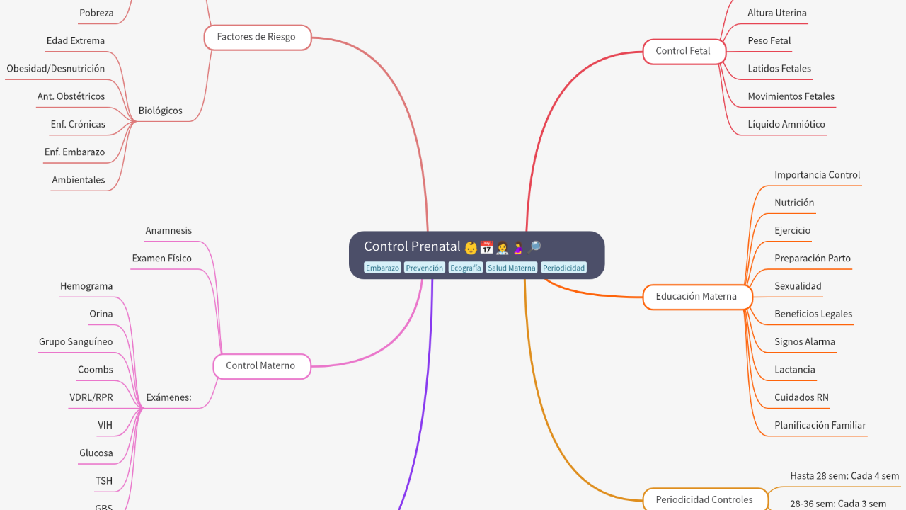 Mind Map:Control Prenatal ...