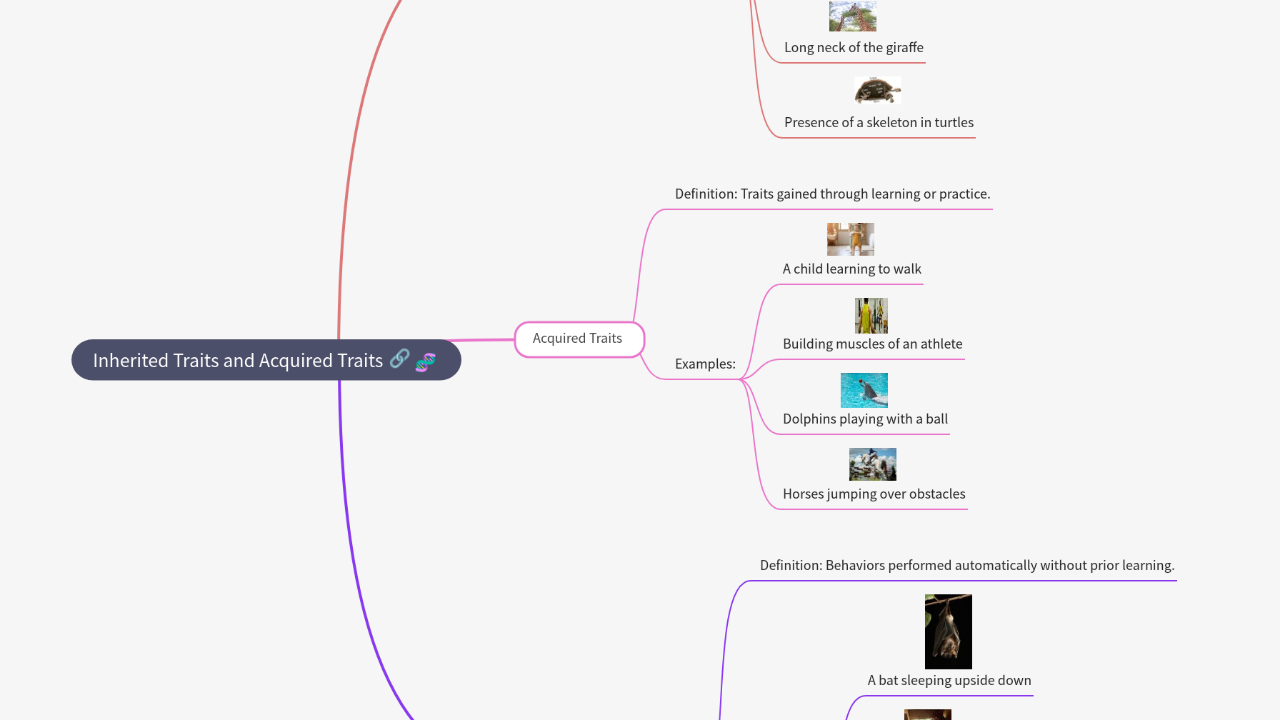 Mind Map:Inherited Traits and Acquired Traits ...
