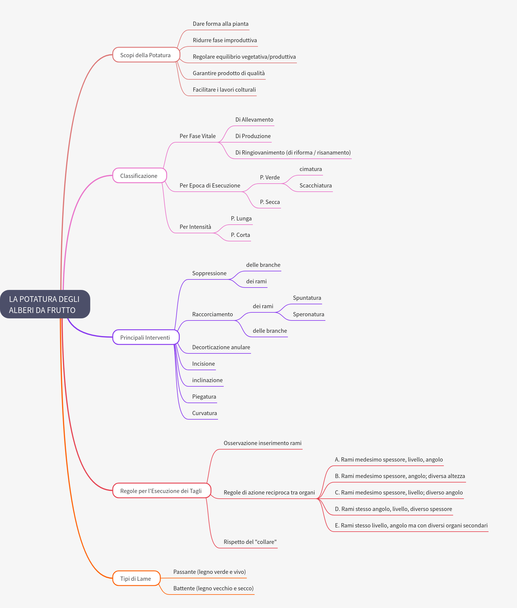 Fruit Tree Pruning: Techniques, Goals, and Best Practices