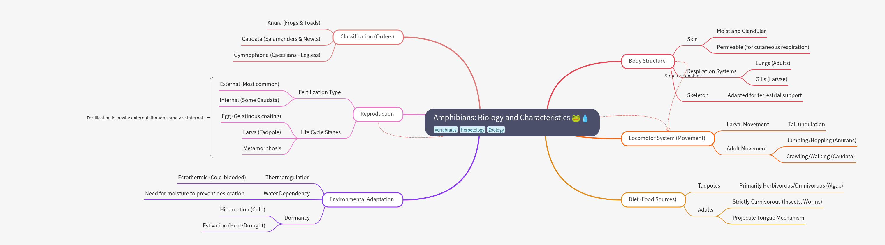 Amphibians: Biology, Characteristics, and Adaptation