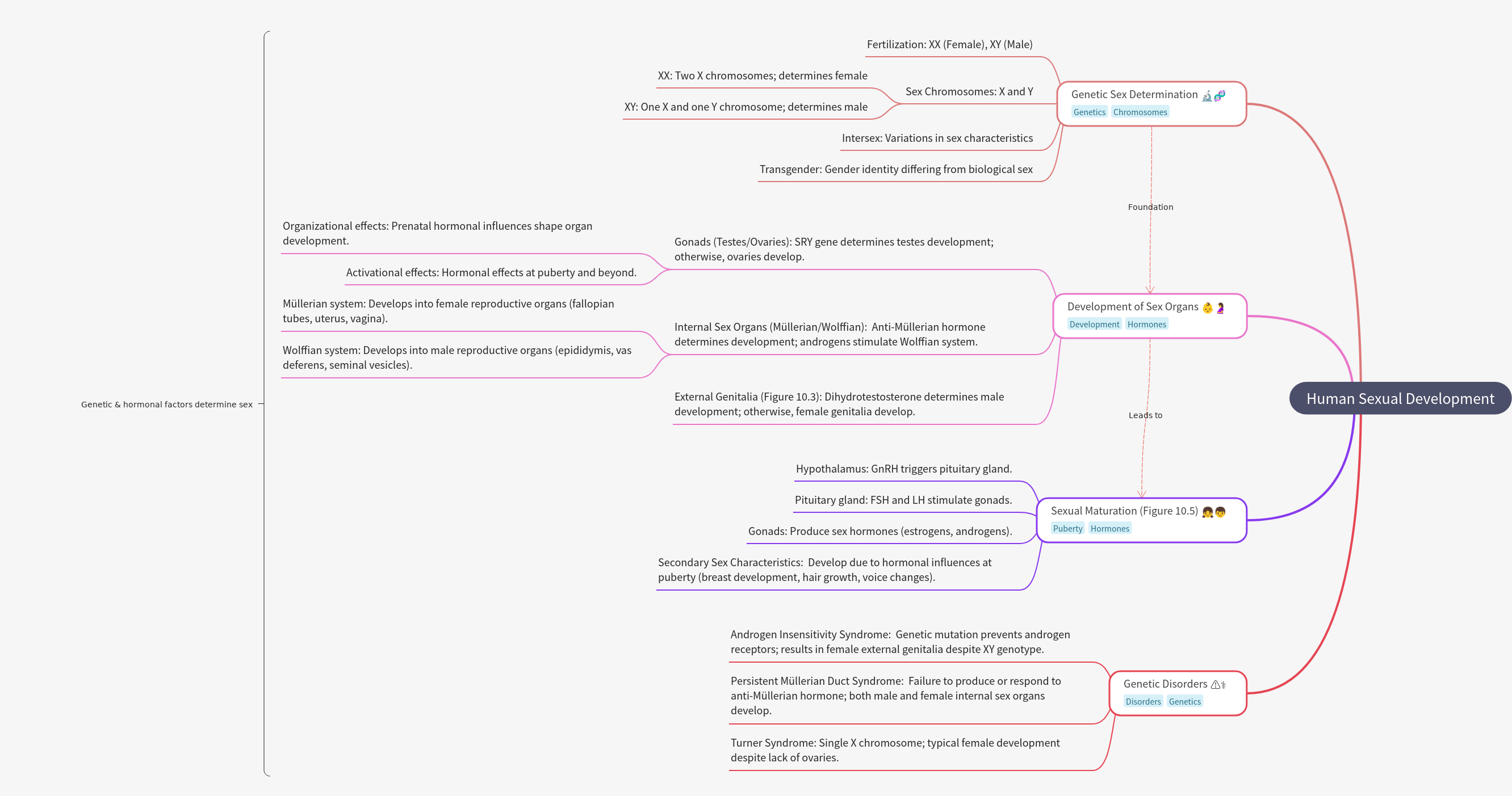 Human Sexual Development: Genetics to Maturation