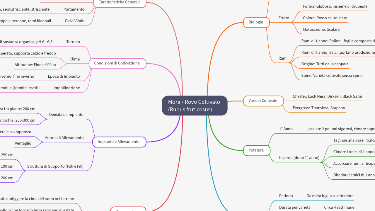 Mind Map:Mora / Rovo Coltivato (Rubus fruticosus) ...