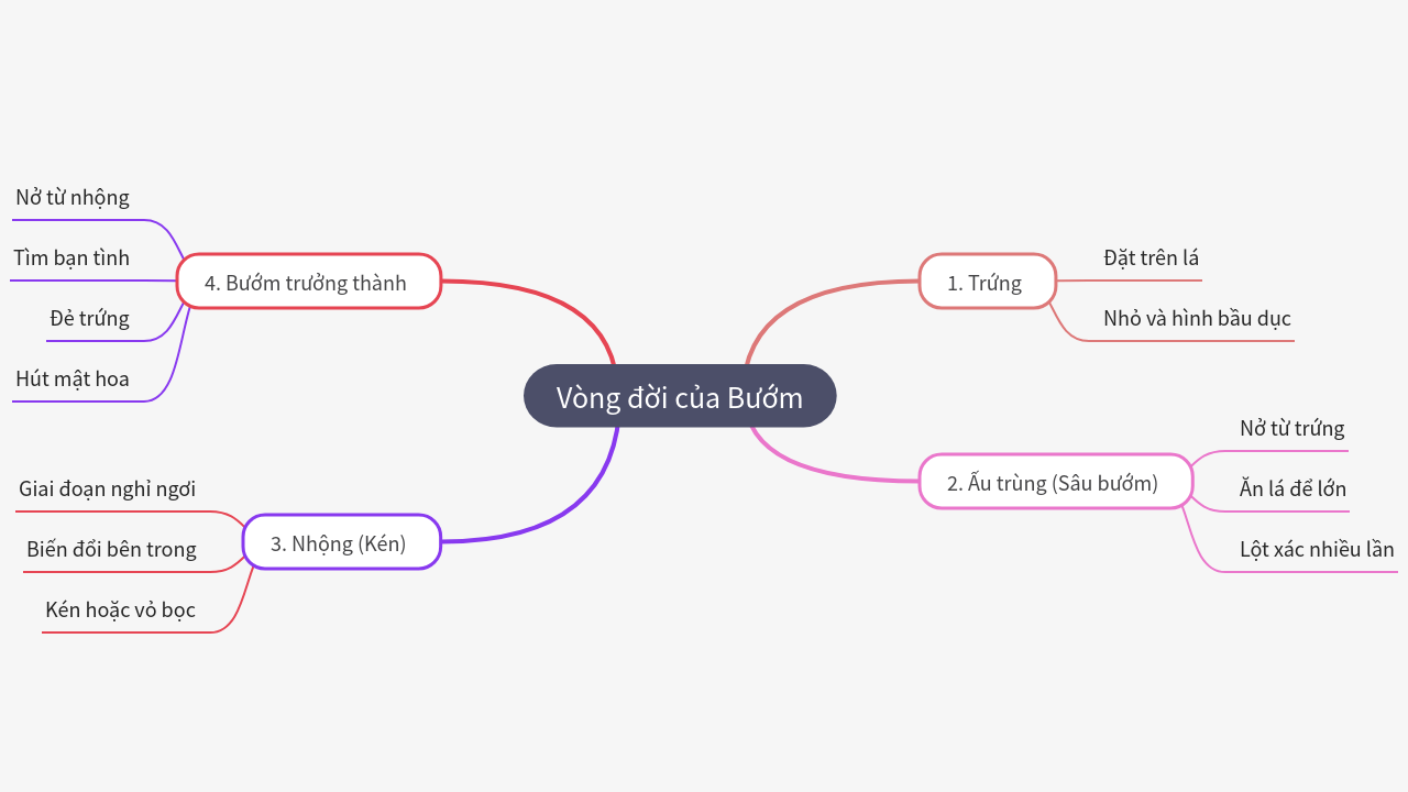 Mind Map:Vòng đời của Bướm ...