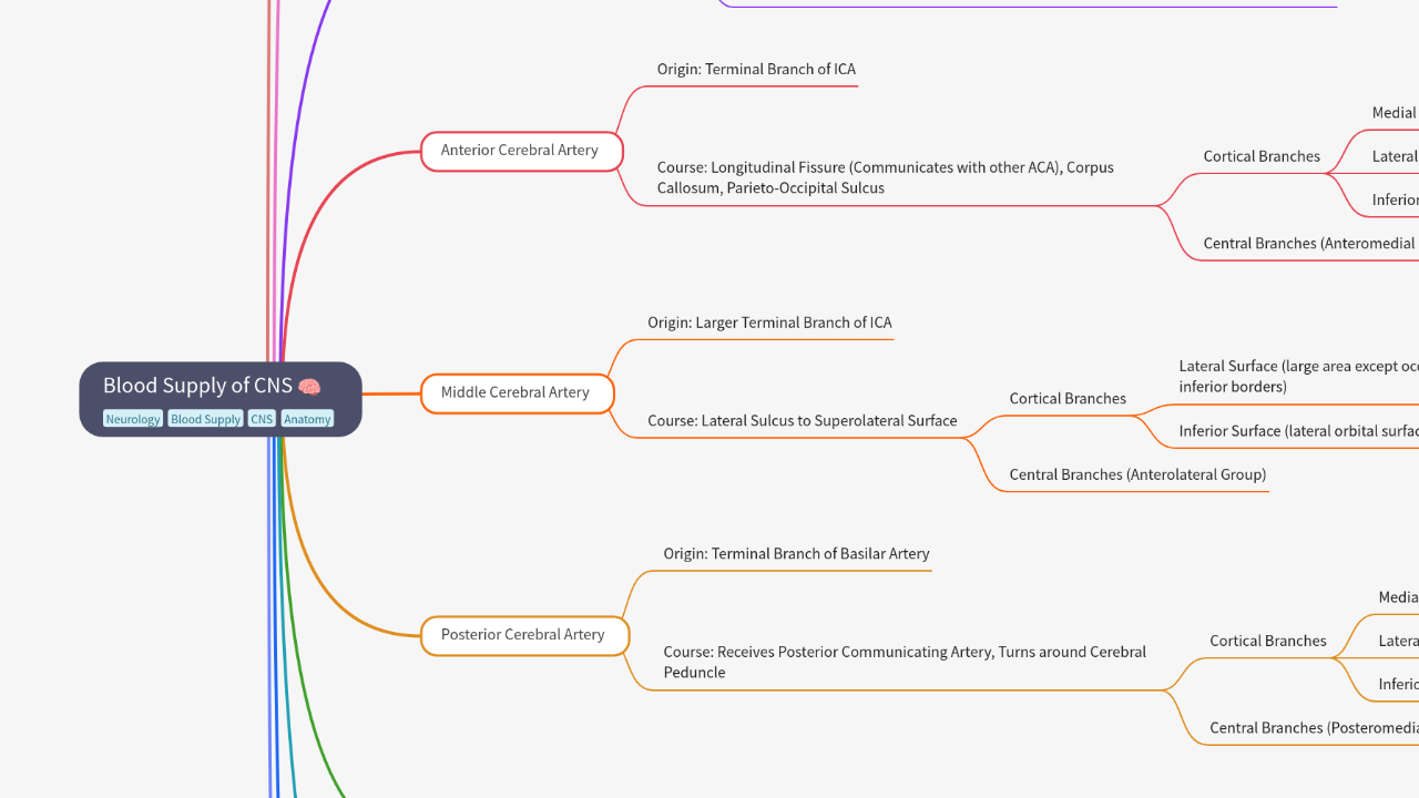 Mind Map:Blood Supply of CNS ...