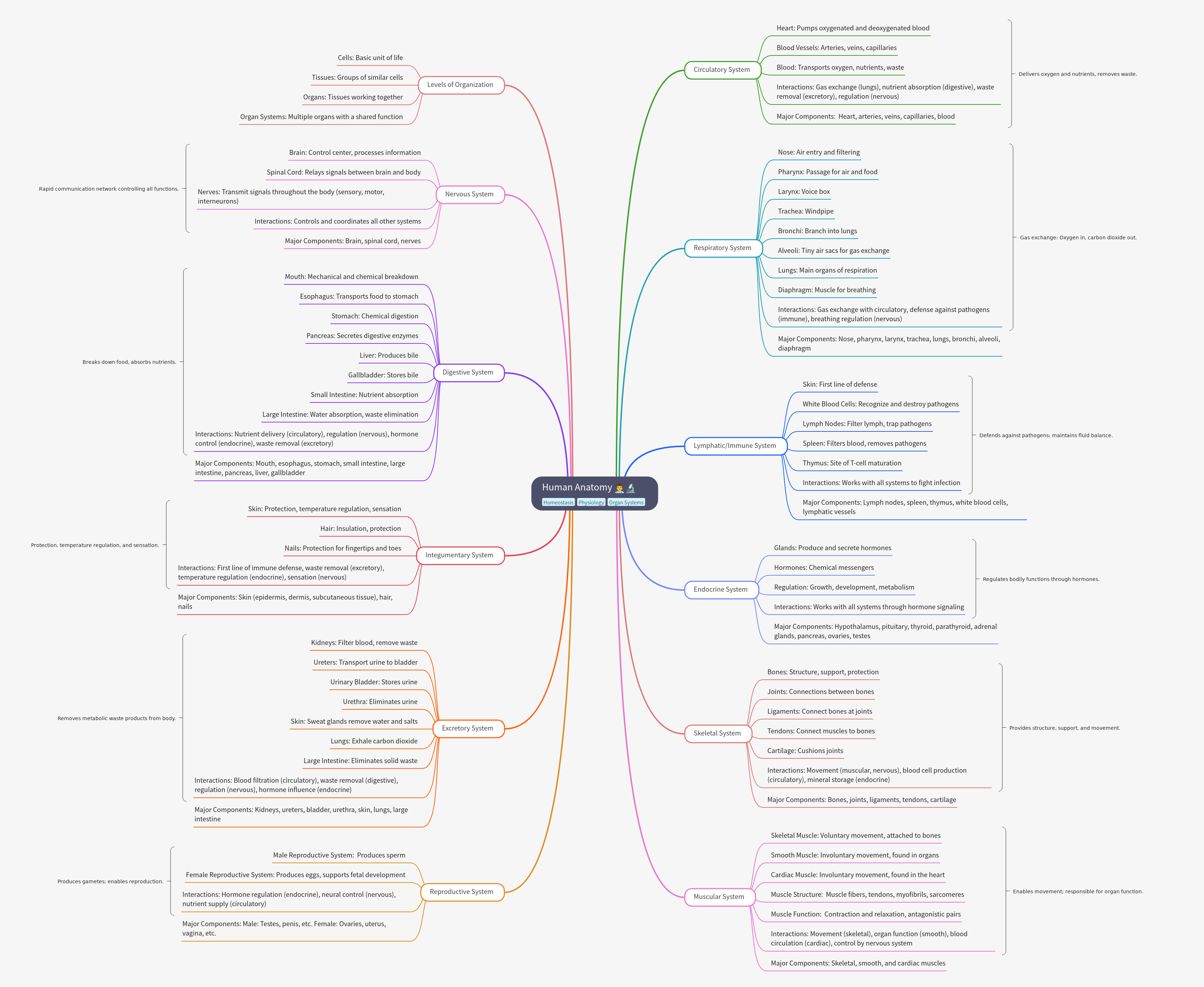 Human Anatomy: Systems & Organization