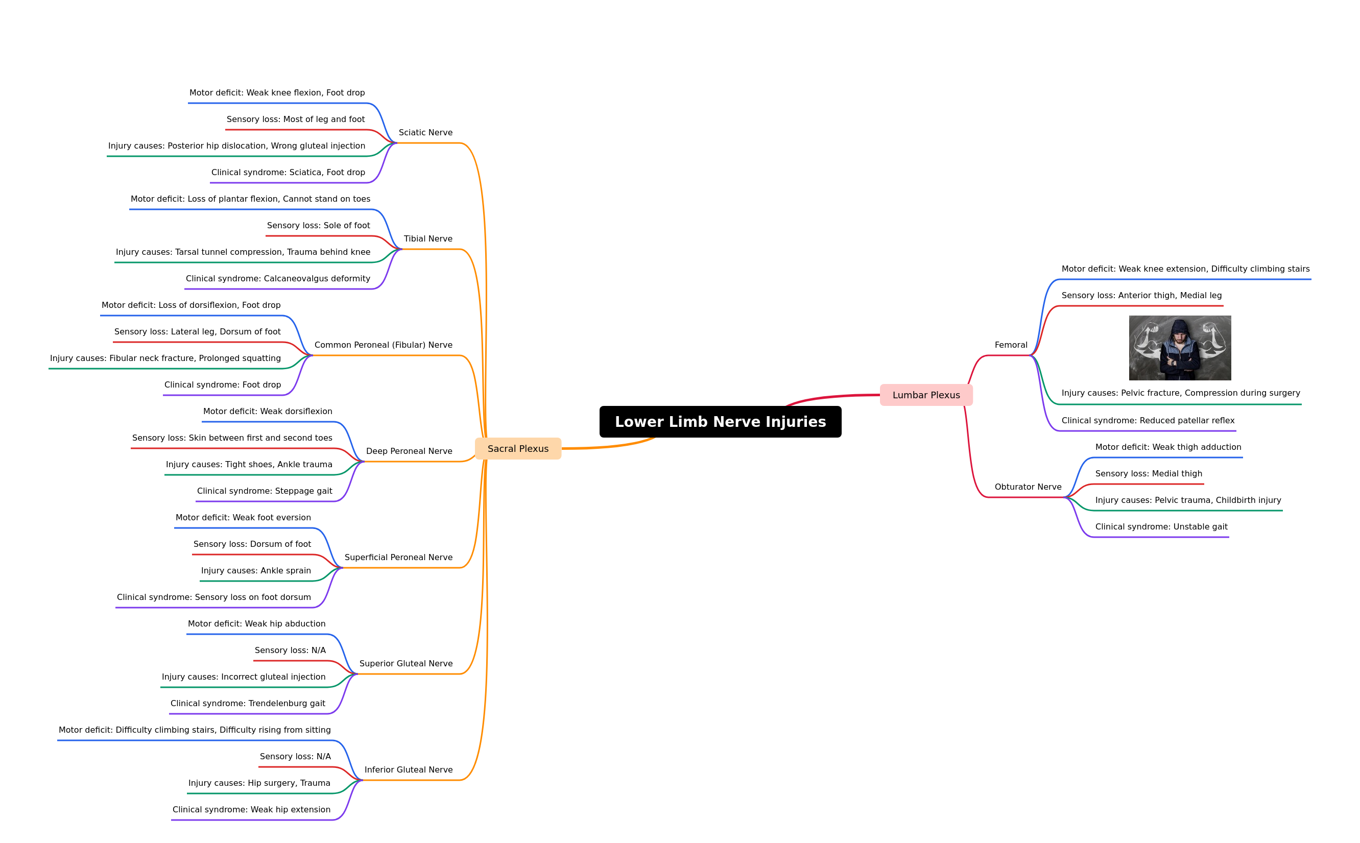 Lower Limb Nerve Injuries: A Comprehensive Guide