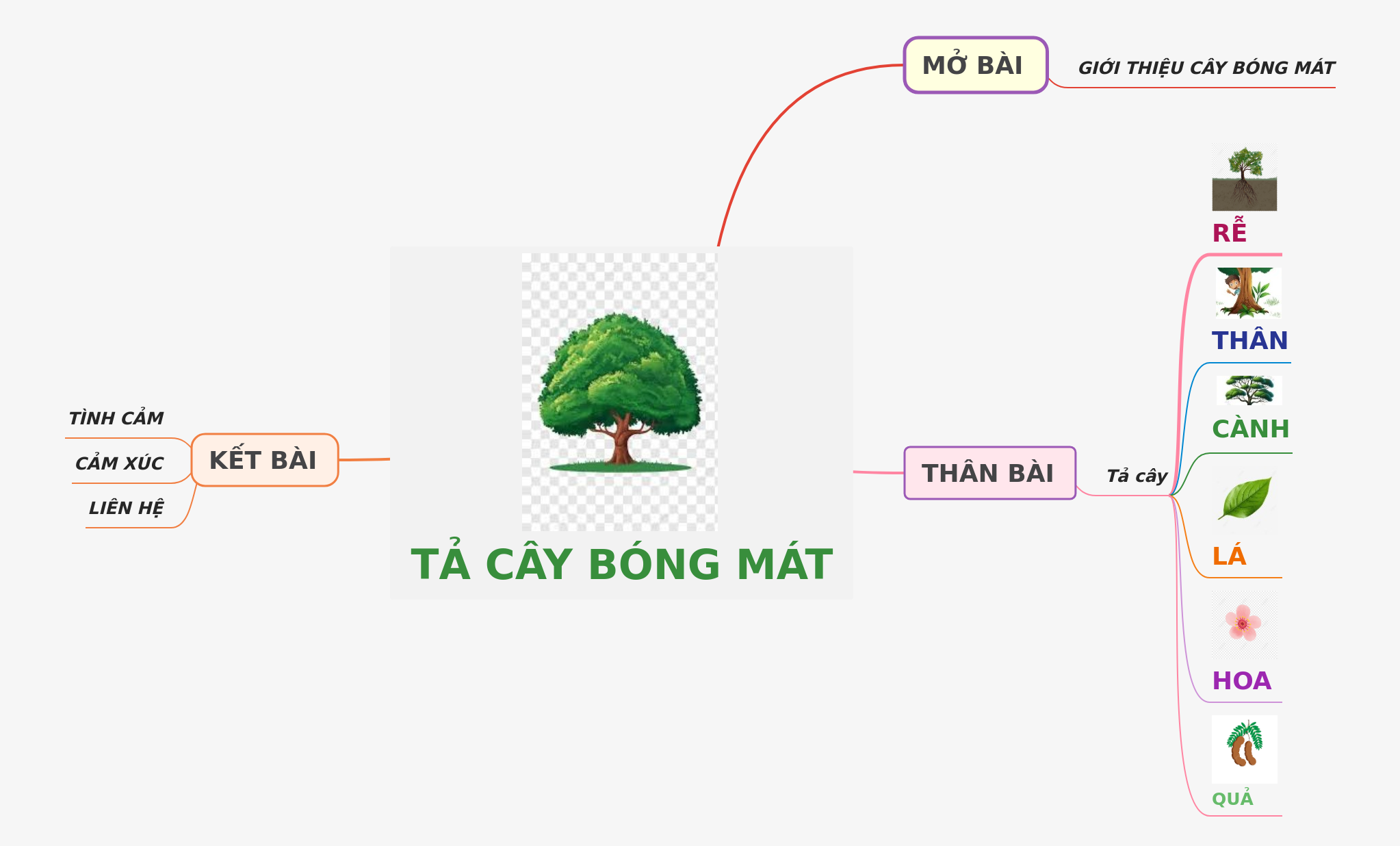 Describing Shade Trees: A Comprehensive Guide