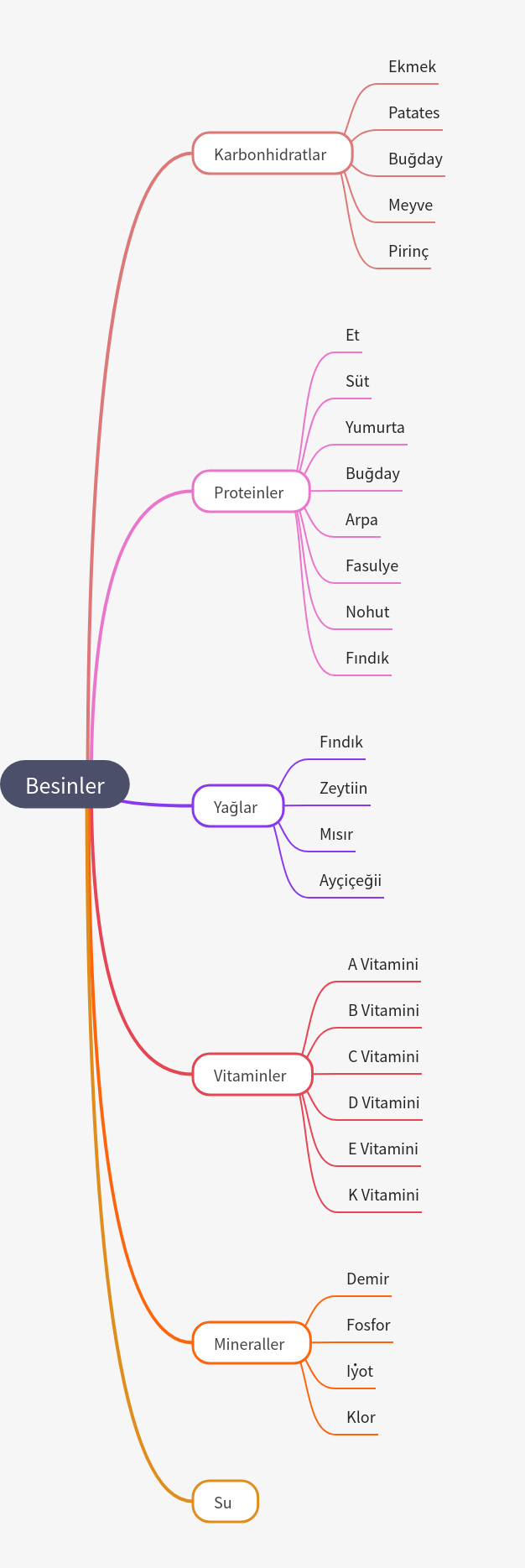 Understanding Essential Food Groups