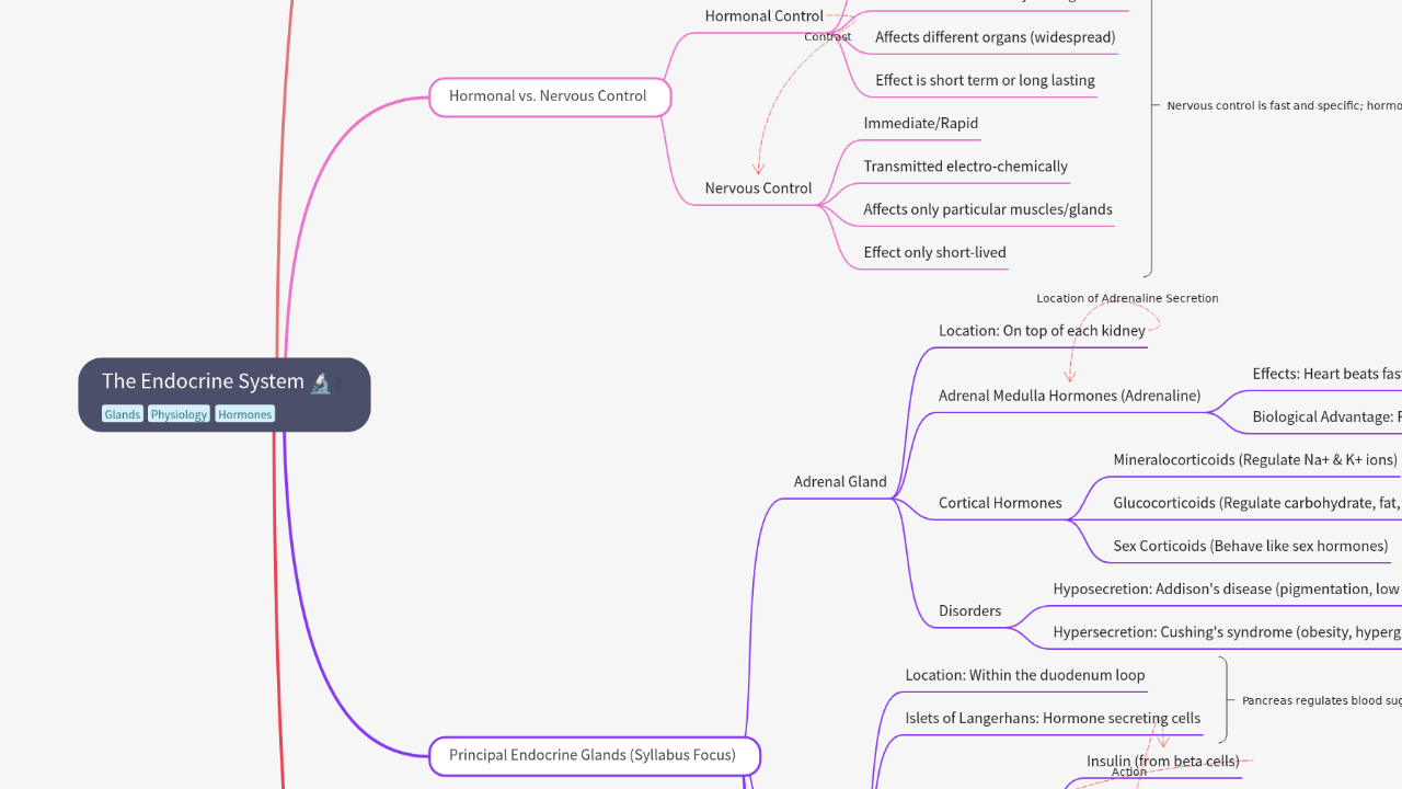 The Endocrine System
