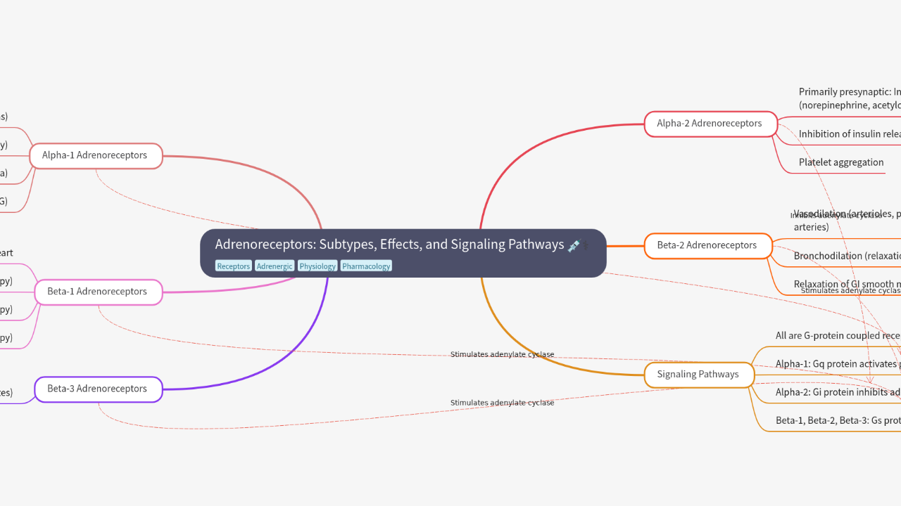 Mind Map:Adrenoreceptors: Subtypes, Effects, and Signaling Pathways ...