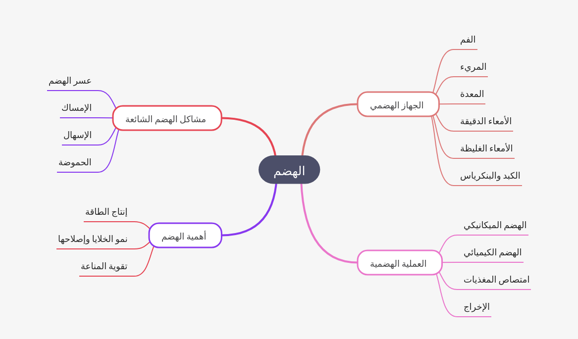 Understanding Digestion: Process, Importance, and Issues
