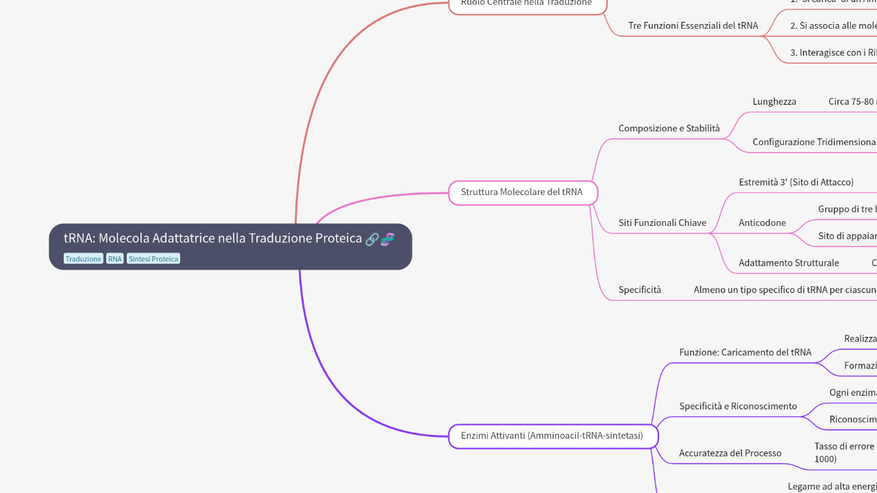 Mind Map:tRNA: Molecola Adattatrice nella Traduzione Proteica ...